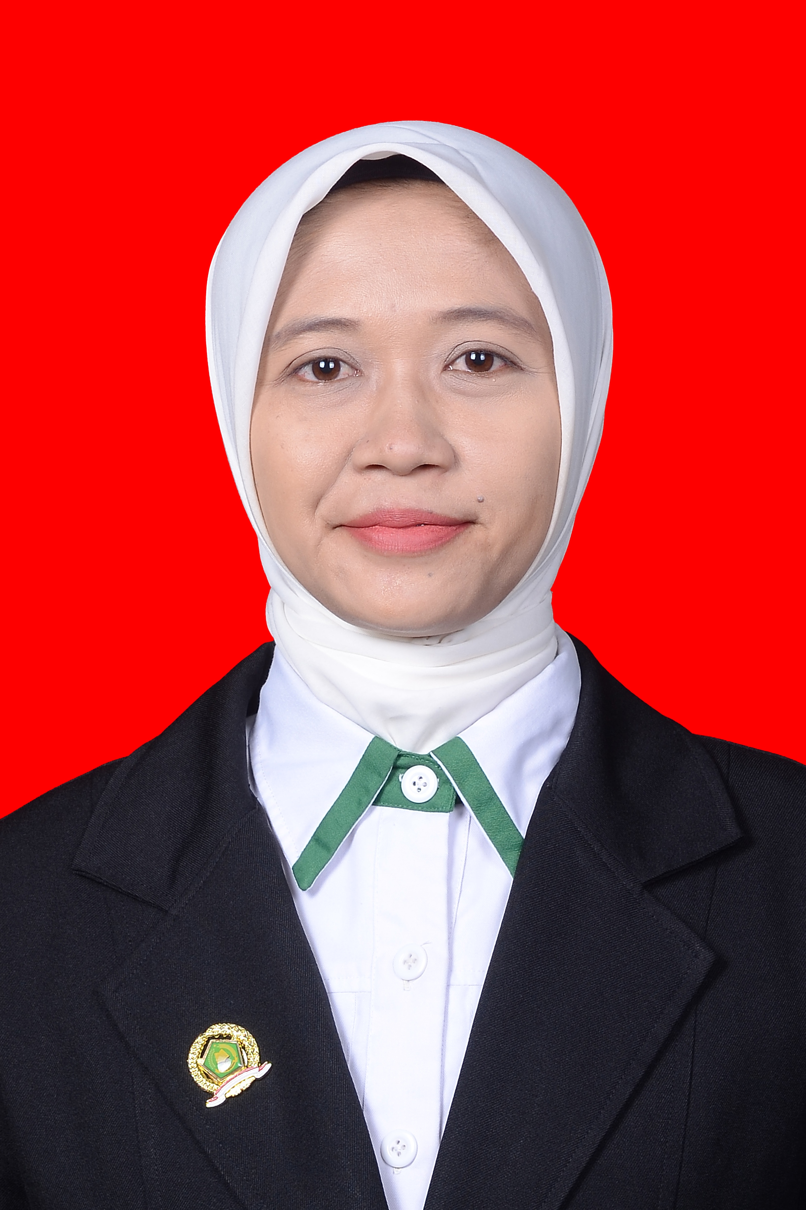 Ayu Oktolita Pertiwi, S. Pd