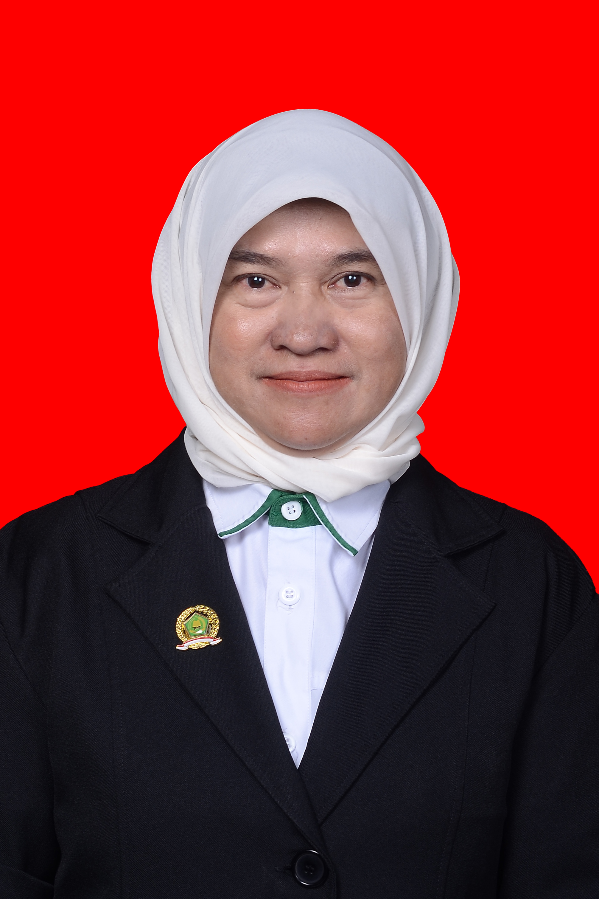 Dra. Hj. Erny Rahma D, M.Pd