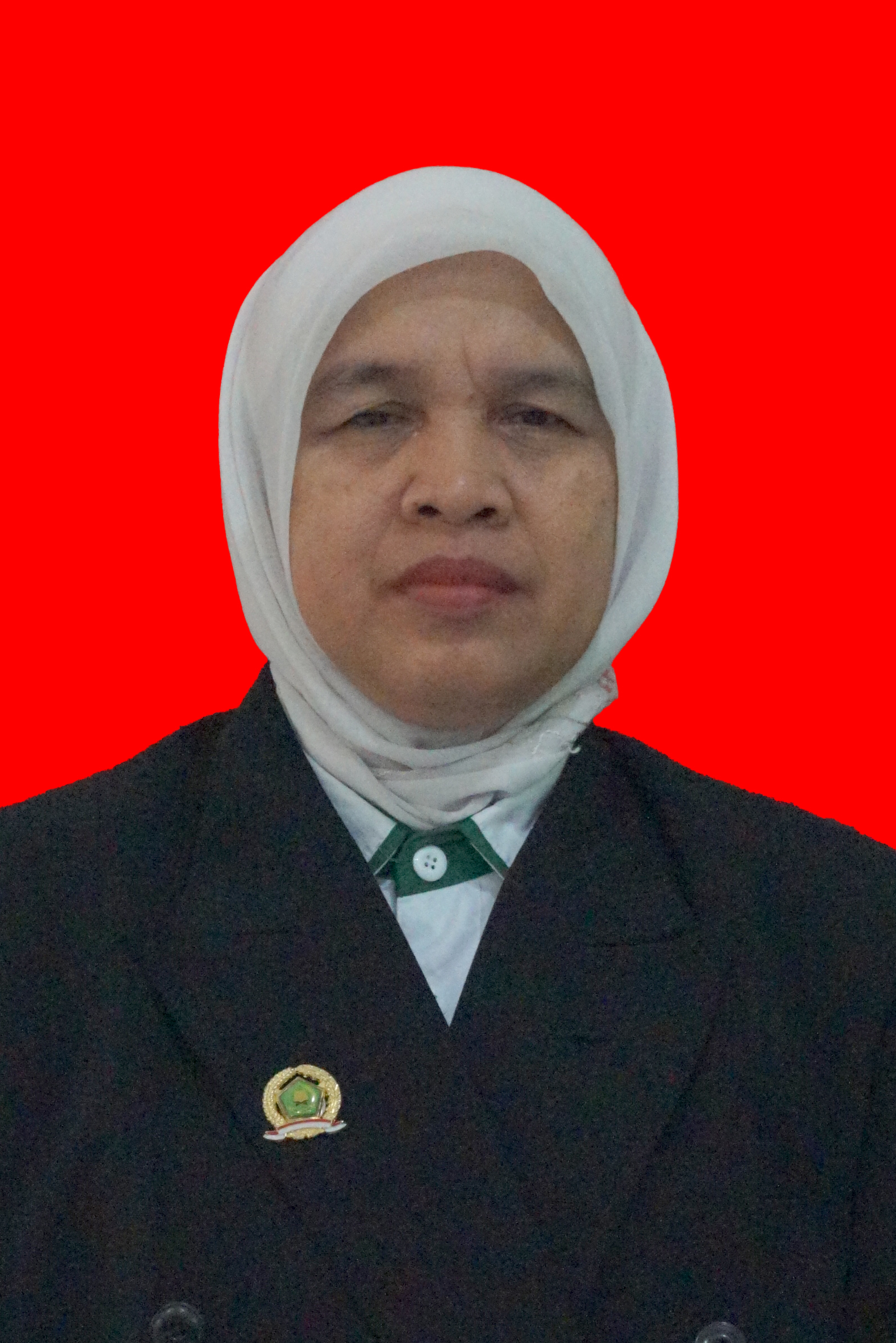 Hamidah, S.Ag